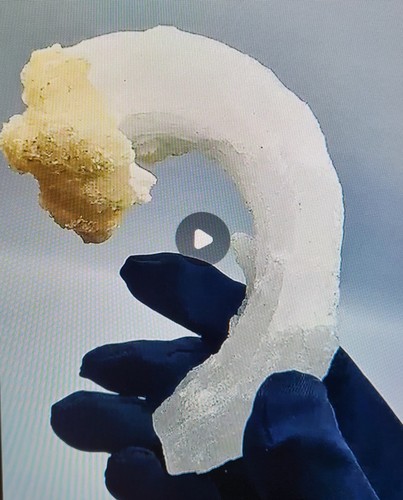 Selenite horn - selenite, "horn"